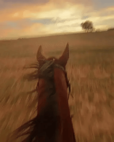 POV Camera™ Sports Camera